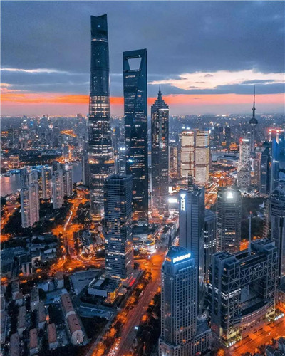 龙筋微博，广州抓龙筋微博的热潮